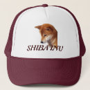 Suche nach shiba kappen Inu