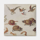 Suche nach schlangen magnete 17