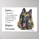 Recherche de chien de berger belge posters Tervuren