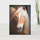 Recherche de haflinger vœux cartes Palomino