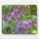 Recherche de fleurs lilas tapis souris Jardin