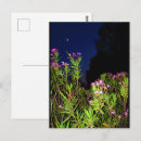 Suche nach oleander postkarten Blumig