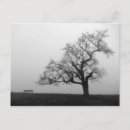 Suche nach bank unter baum postkarten Ruhig