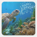 Recherche de humour tortue autocollants Toute personne