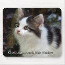 Suche nach bärte mousepads Kätzchen