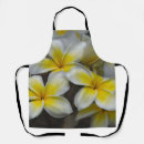 Recherche de plumeria tabliers Photographie florale