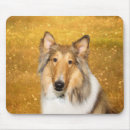 Recherche de rugueux tapis souris Colley