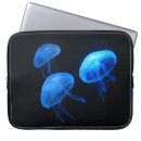 Suche nach quallen laptop schutzhüllen Fotografie