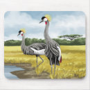 Recherche de grues tapis souris Faune