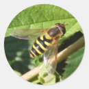 Recherche de stationnaire autocollants Nature