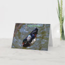 Recherche de avenir vœux cartes Pour lui