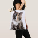 Recherche de pelucheux sacs Chaton