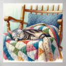 Suche nach sleeping cat poster Schlafend