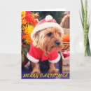 Recherche de de terrier noël cartes Terriers