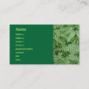 Recherche de fouine cartes visite Plante