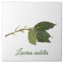 Recherche de frais carreaux Plante