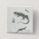 Recherche de iguane badges Reptile