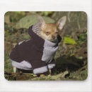 Suche nach pullover mousepads Hund