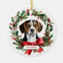 Suche nach beagle ornamente Schnee