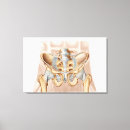 Suche nach gelenk leinwandbilder Gesundheitswesen