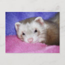 Recherche de numéro 9 cartes postales Mignon