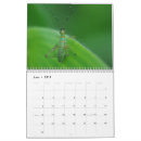 Suche nach insekten kalender Wanzen