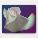 Recherche de fleurs blanches roses tapis souris Nature