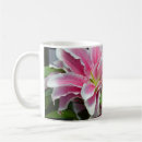 Suche nach stargazerlilie Rosa