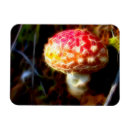 Suche nach psychedelische karten Pilz