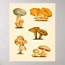 Recherche de variété art Vintage