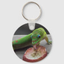 Suche nach gecko schlüsselanhänger Wildtiere