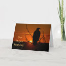 Suche nach der adler karten Sonnenuntergang