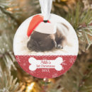 Suche nach hundeschlitten ornamente Weihnachten