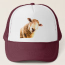 Recherche de moutons casquettes Ferme