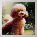 Recherche de caniche posters Jardin