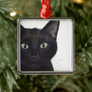 Suche nach portrait ornamente Tierfreunde