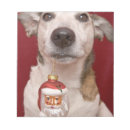 Recherche de jack russel blocsnotes Animal