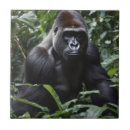 Suche nach primate fliesen Gorilla