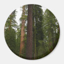 Suche nach yosemite national park magnete Natur