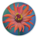 Recherche de fleur rouge boutons et poignées de porte Orange