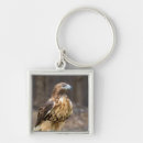 Recherche de buse porteclés Faucon à queue rouge