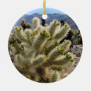 Suche nach joshua tree ornamente Nationalpark