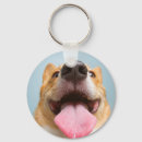 Recherche de chiot corgi porteclés Animaux