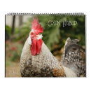 Suche nach küken kalender Vögel