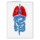 Suche nach menschliche lungen postkarten Innere organe