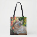 Suche nach ragdolls taschen Blaue augen