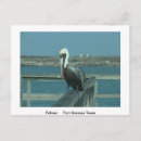 Suche nach wildlife postkarten Vögel