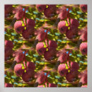 Recherche de pistache posters Vert