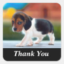 Recherche de chiot mignon de beagle autocollants Dog