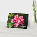 Recherche de flower correspondances cartes Jolie